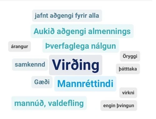 Gildi sem þátttakendur á geðheilbrigðisþingi 2020 töldu mikilvæg leiðarljós þegar rætt var um framtíðarsýn í geðheilbrigðismálum