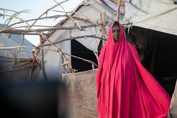 {image.Description}